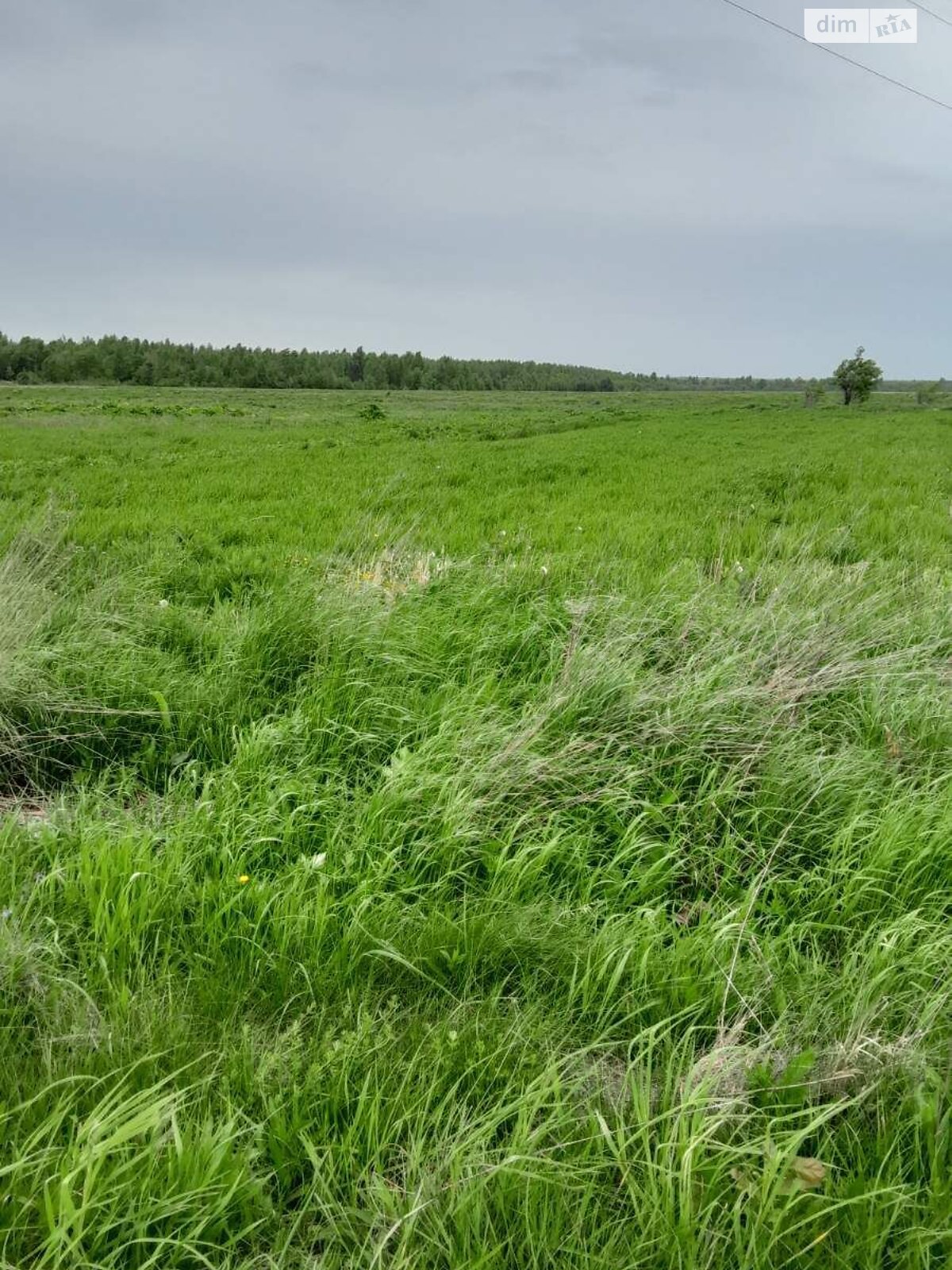 Аренда земли сельскохозяйственного назначения в Гузееве, цена: 35 110 грн за объект фото 1
