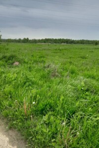 Аренда земли сельскохозяйственного назначения в Гузееве, цена: 35 110 грн за объект фото 2