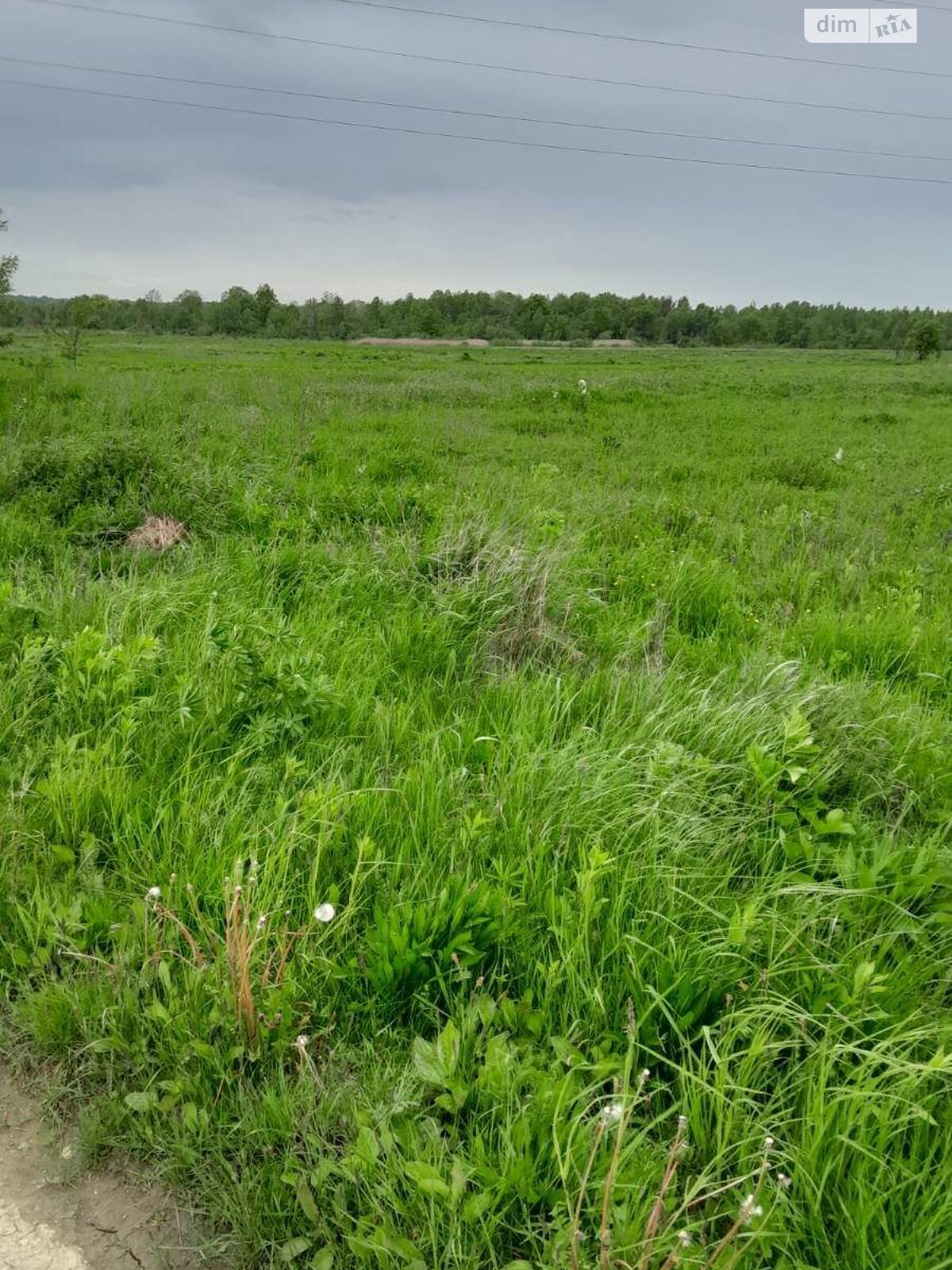 Аренда земли сельскохозяйственного назначения в Гузееве, цена: 35 110 грн за объект фото 1