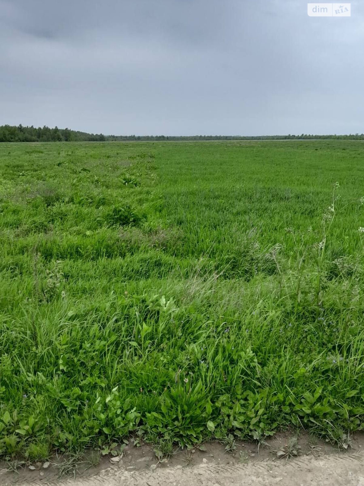Аренда земли сельскохозяйственного назначения в Гузееве, цена: 35 110 грн за объект фото 1