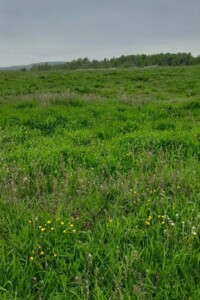 Оренда землі сільськогосподарського призначення в Гузєєві, ціна: 24 803 грн за об’єкт фото 2