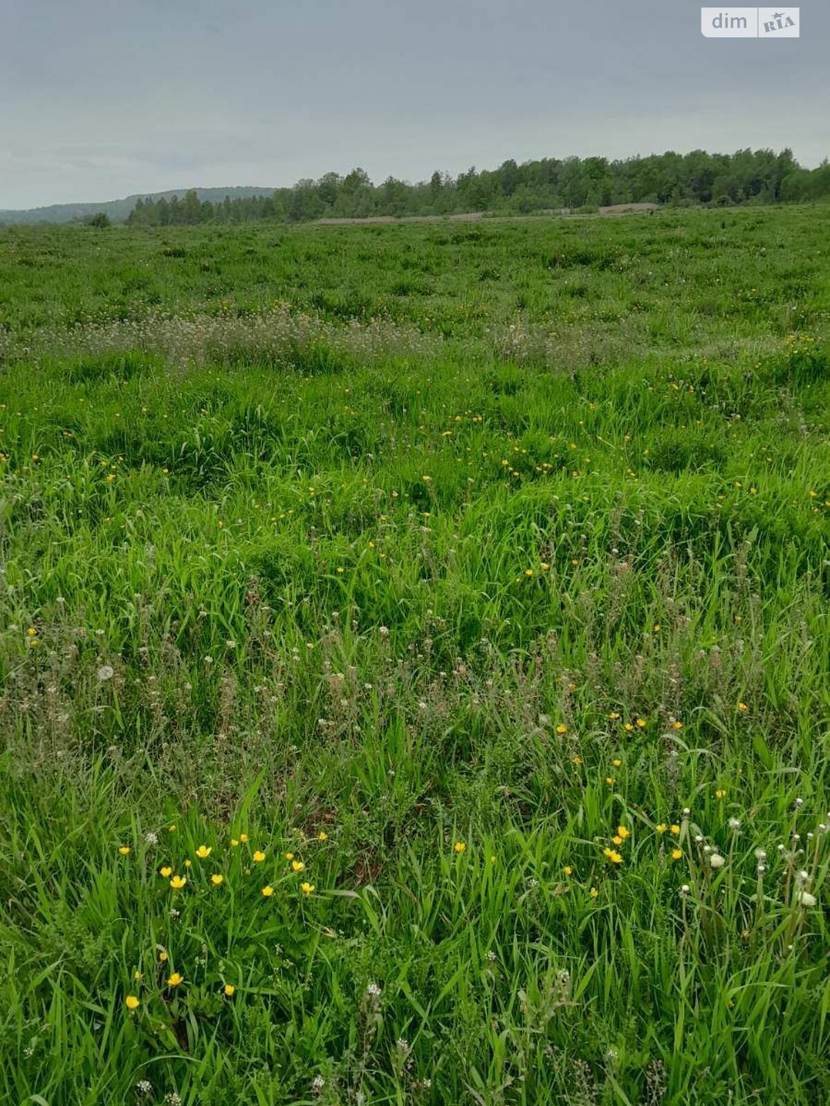 Оренда землі сільськогосподарського призначення в Гузєєві, ціна: 24 803 грн за об’єкт фото 1