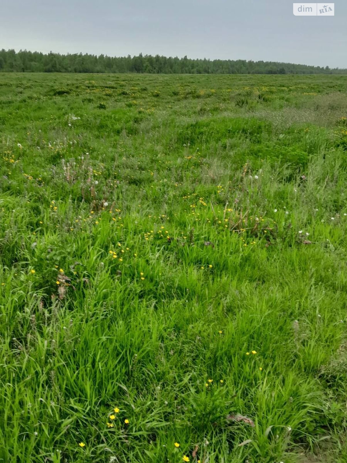 Оренда землі сільськогосподарського призначення в Гузєєві, ціна: 18 009 грн за об’єкт фото 1