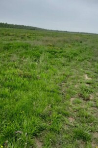 Оренда землі сільськогосподарського призначення в Гузєєві, ціна: 18 009 грн за об’єкт фото 2