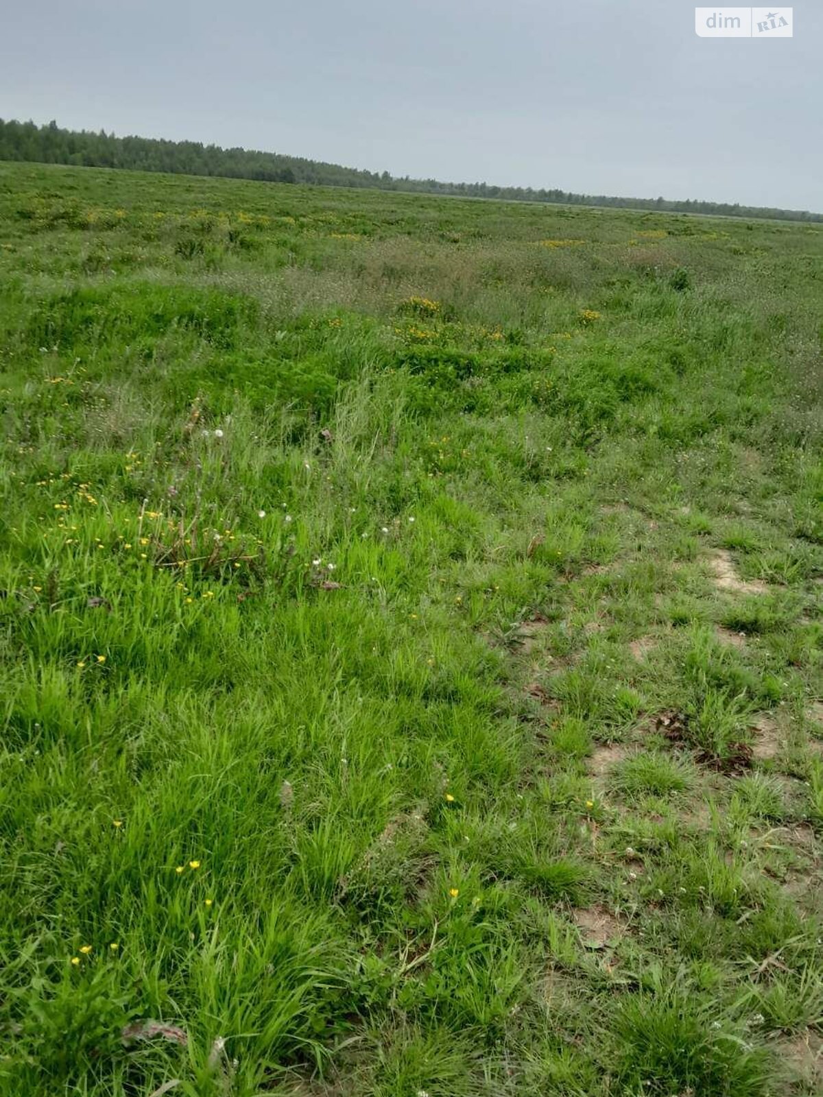 Оренда землі сільськогосподарського призначення в Гузєєві, ціна: 18 009 грн за об’єкт фото 1