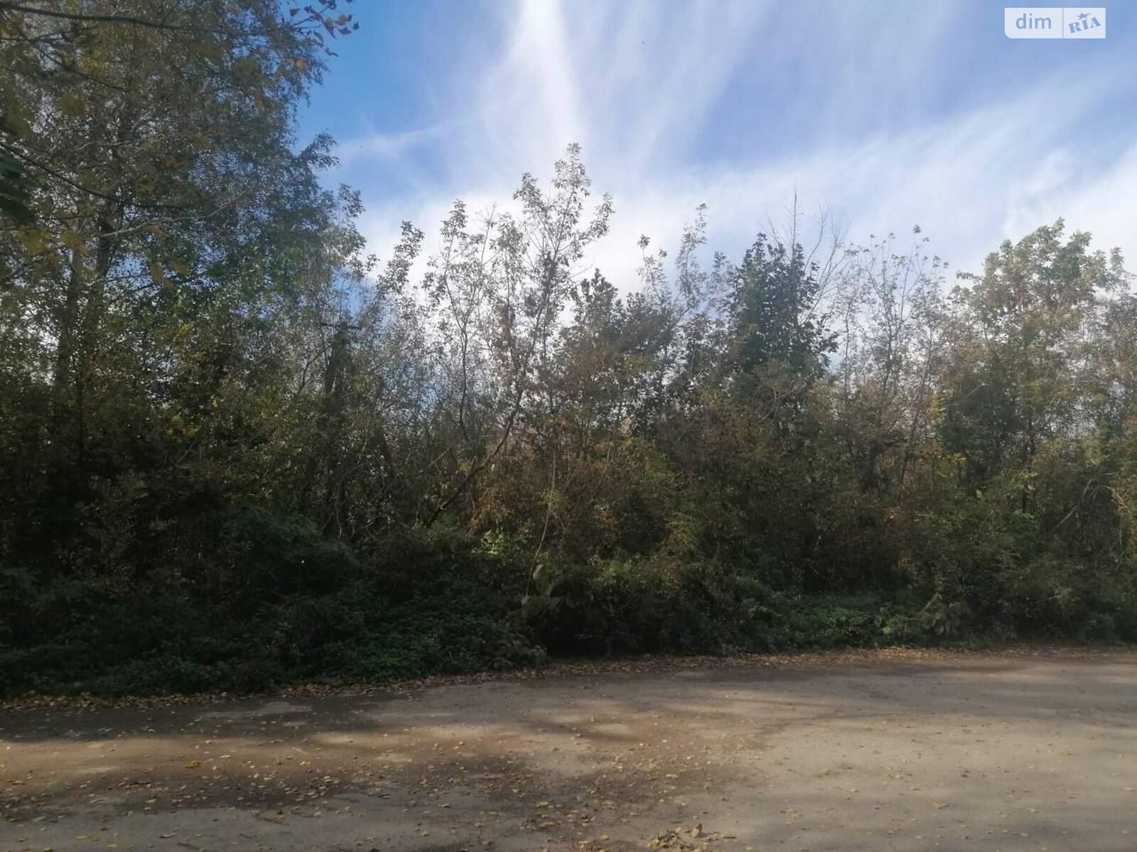 Оренда землі сільськогосподарського призначення в Гвоздові, ціна: 4 940 грн за об’єкт фото 1