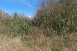 Оренда землі сільськогосподарського призначення в Гвоздові, ціна: 4 940 грн за об’єкт фото 2