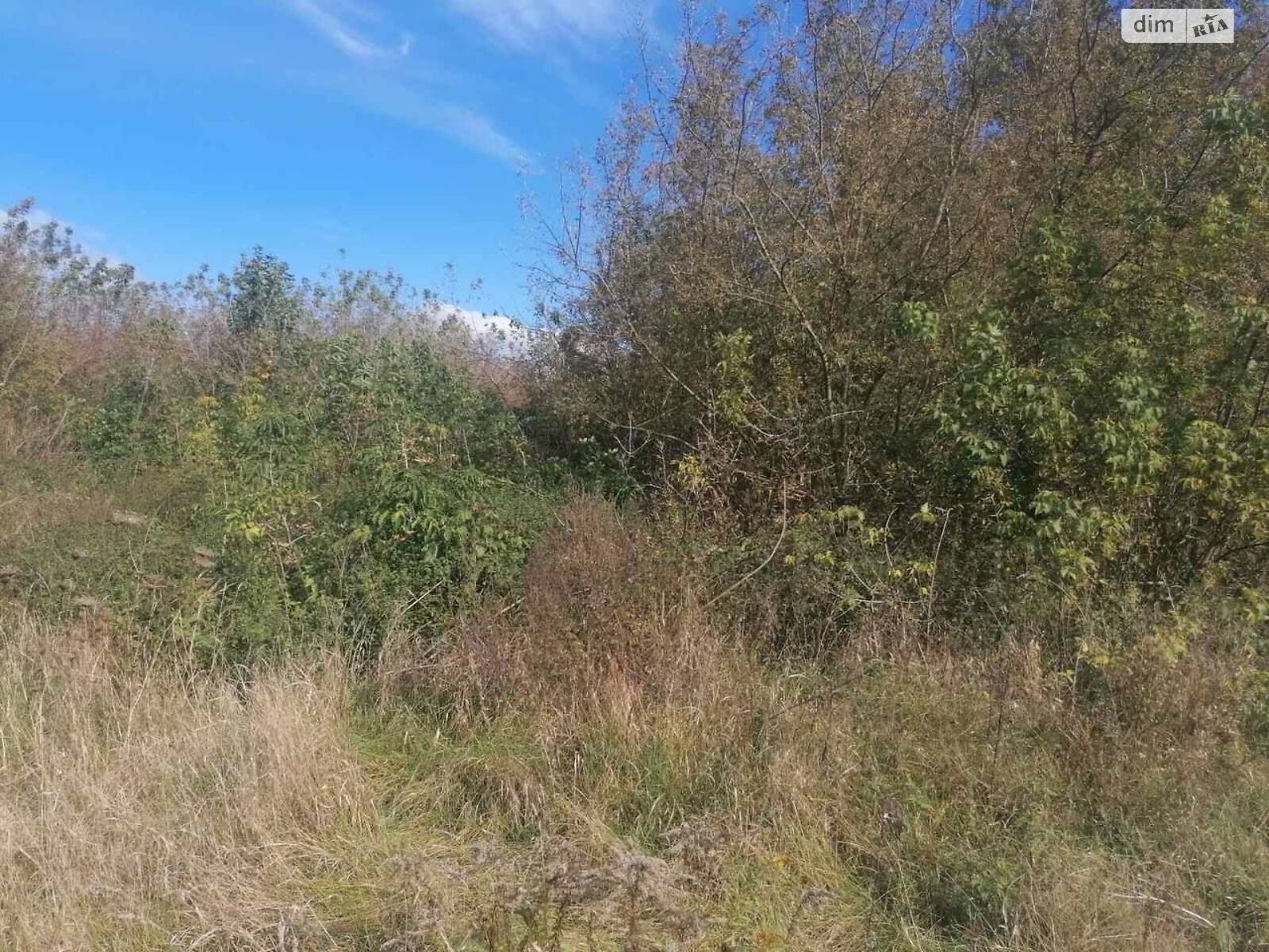 Оренда землі сільськогосподарського призначення в Гвоздові, ціна: 4 940 грн за об’єкт фото 1