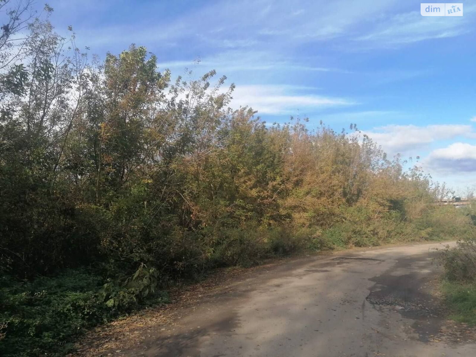 Оренда землі сільськогосподарського призначення в Гвоздові, ціна: 4 940 грн за об’єкт фото 1