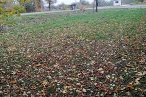 Аренда земли сельскохозяйственного назначения в Халче, цена: 789 грн за объект фото 1