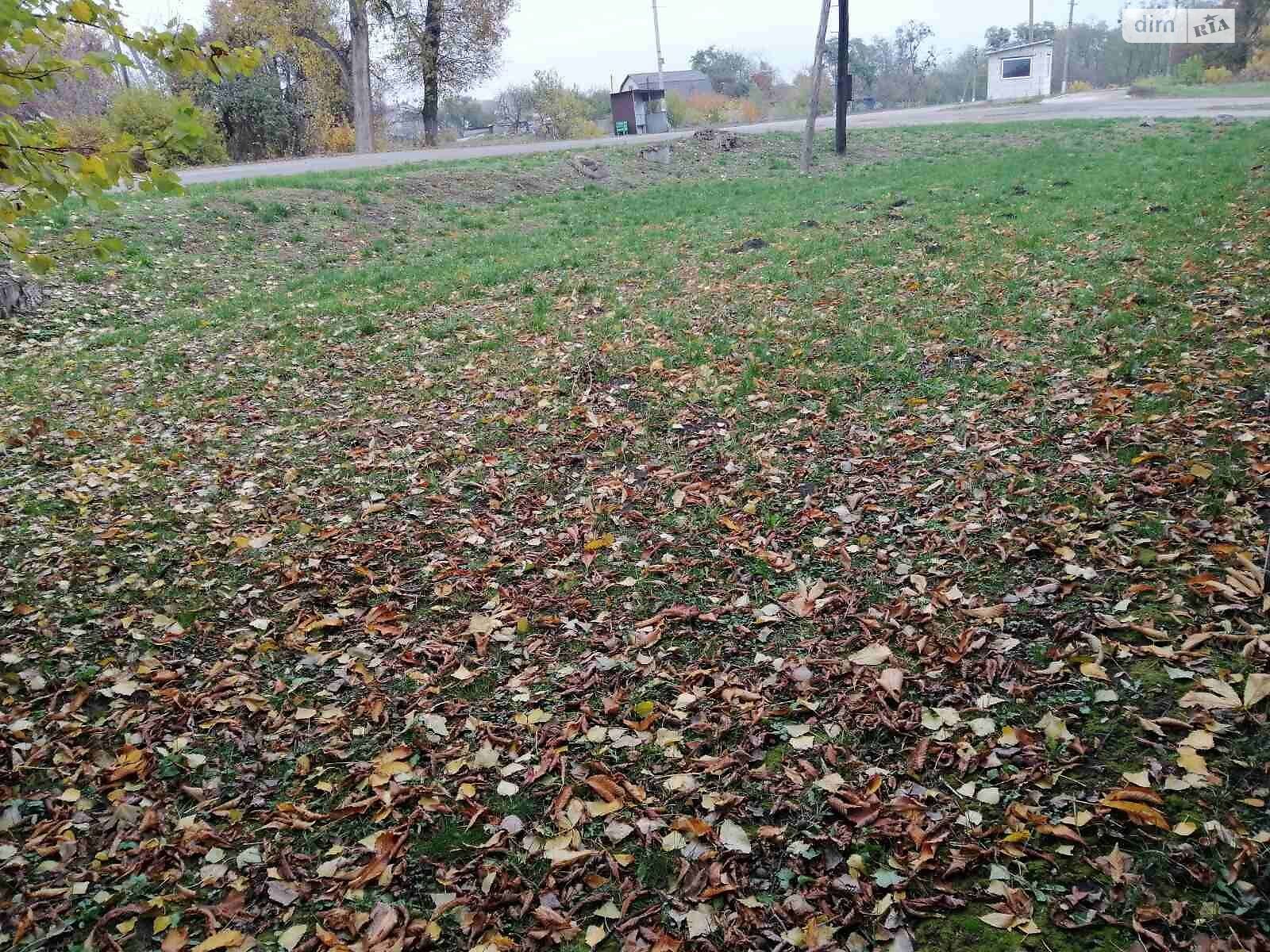 Аренда земли сельскохозяйственного назначения в Халче, цена: 789 грн за объект фото 1