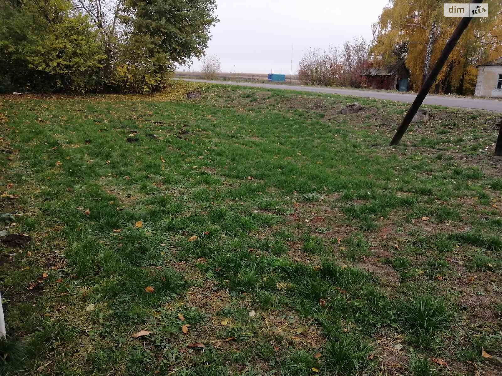 Аренда земли сельскохозяйственного назначения в Халче, цена: 789 грн за объект фото 1