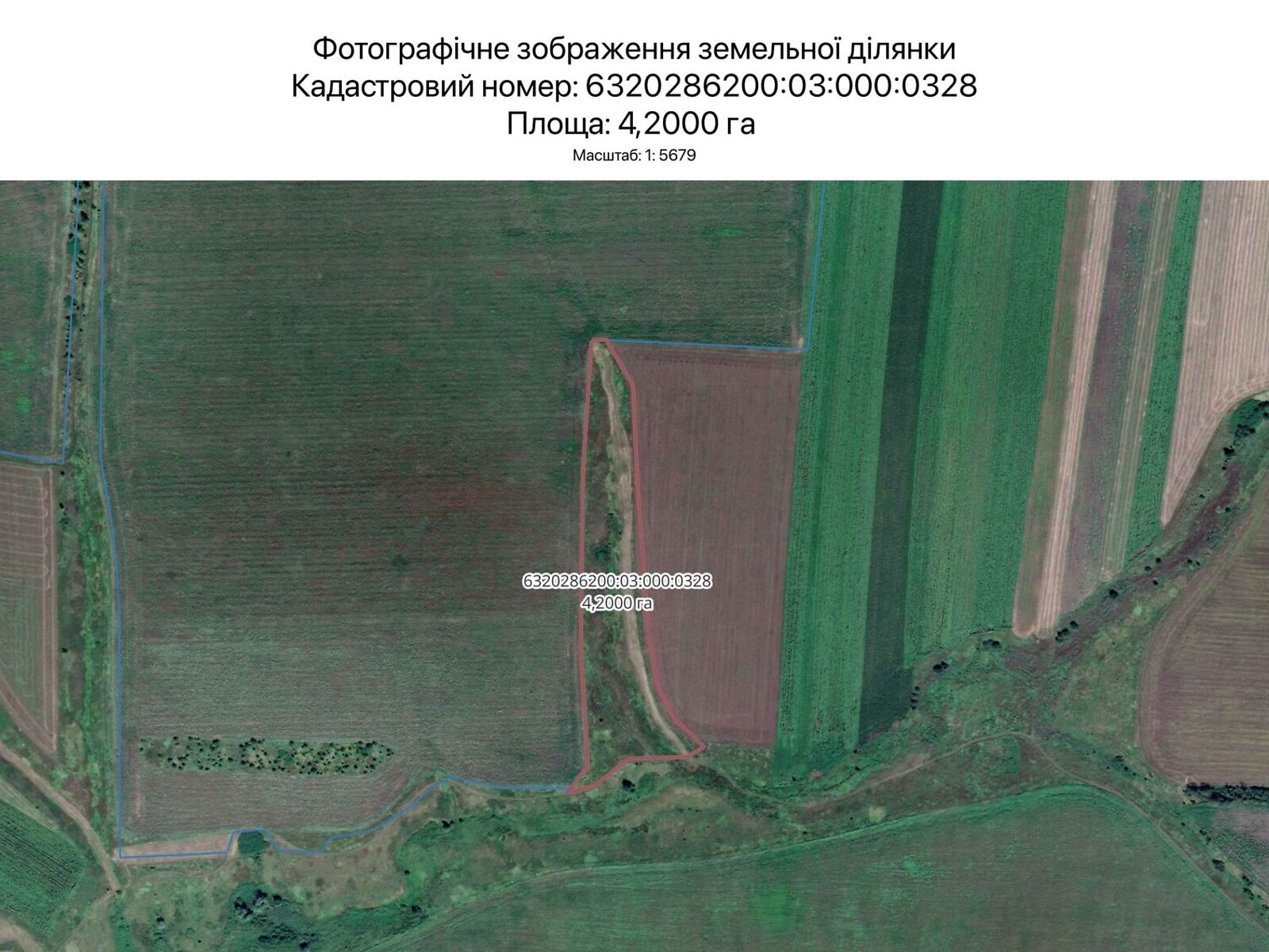 Аренда земли сельскохозяйственного назначения в Харькове, цена: 4 238 грн за объект фото 1 Аренда земли сельскохозяйственного назначения в Харькове, цена: 4 238 грн за объект фото 1