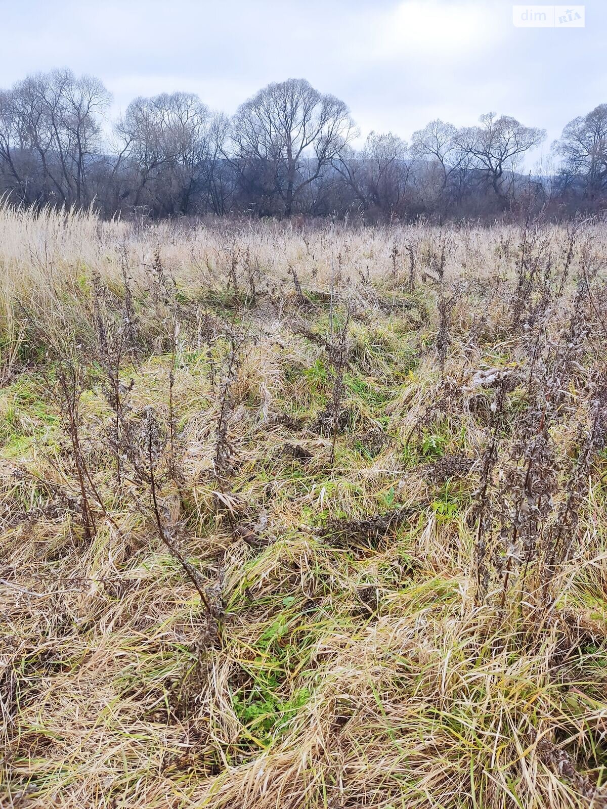 Оренда землі сільськогосподарського призначення в Ходорові, ціна: 1 175 грн за об’єкт фото 1