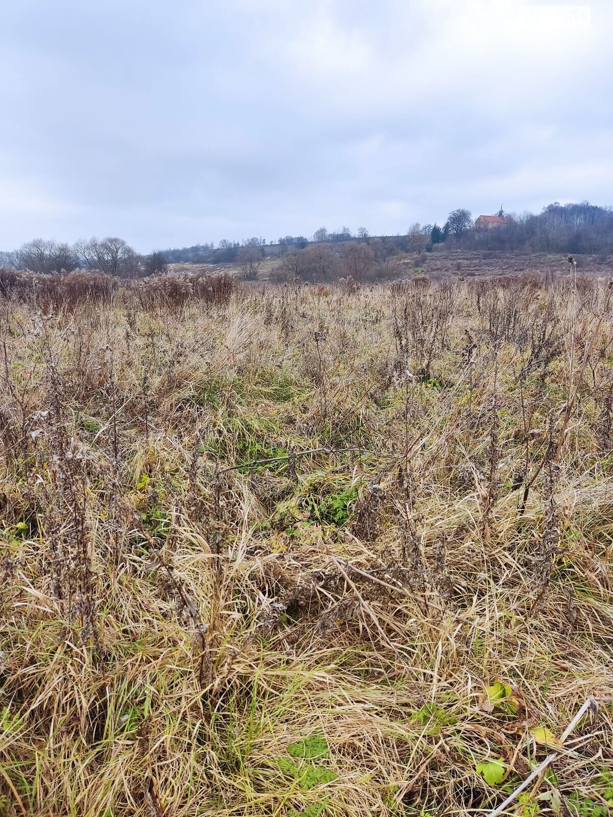 Оренда землі сільськогосподарського призначення в Ходорові, ціна: 1 175 грн за об’єкт фото 1