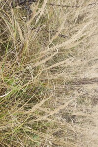 Оренда землі сільськогосподарського призначення в Ходорові, ціна: 2 823 грн за об’єкт фото 1