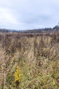 Оренда землі сільськогосподарського призначення в Ходорові, ціна: 3 349 грн за об’єкт фото 1