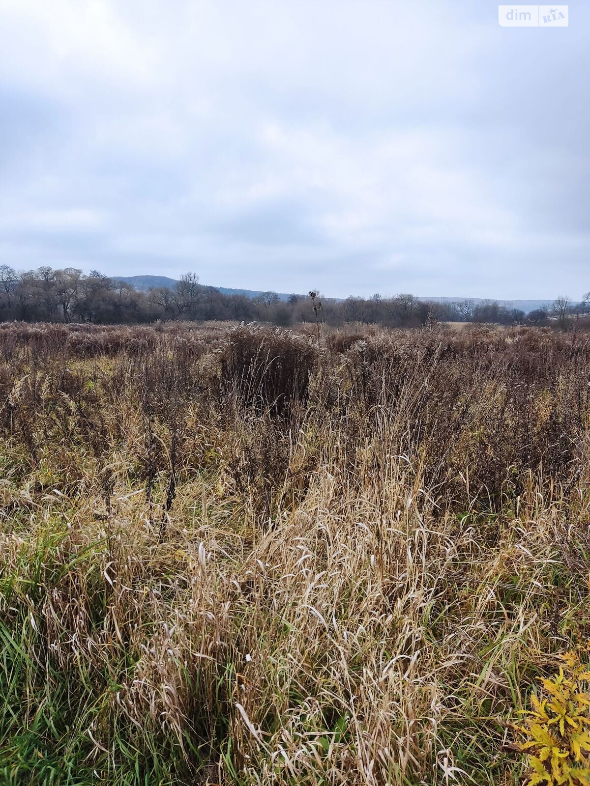 Оренда землі сільськогосподарського призначення в Ходорові, ціна: 3 349 грн за об’єкт фото 1