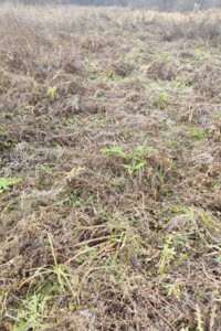 Оренда землі сільськогосподарського призначення в Ходорові, ціна: 19 699 грн за об’єкт фото 1