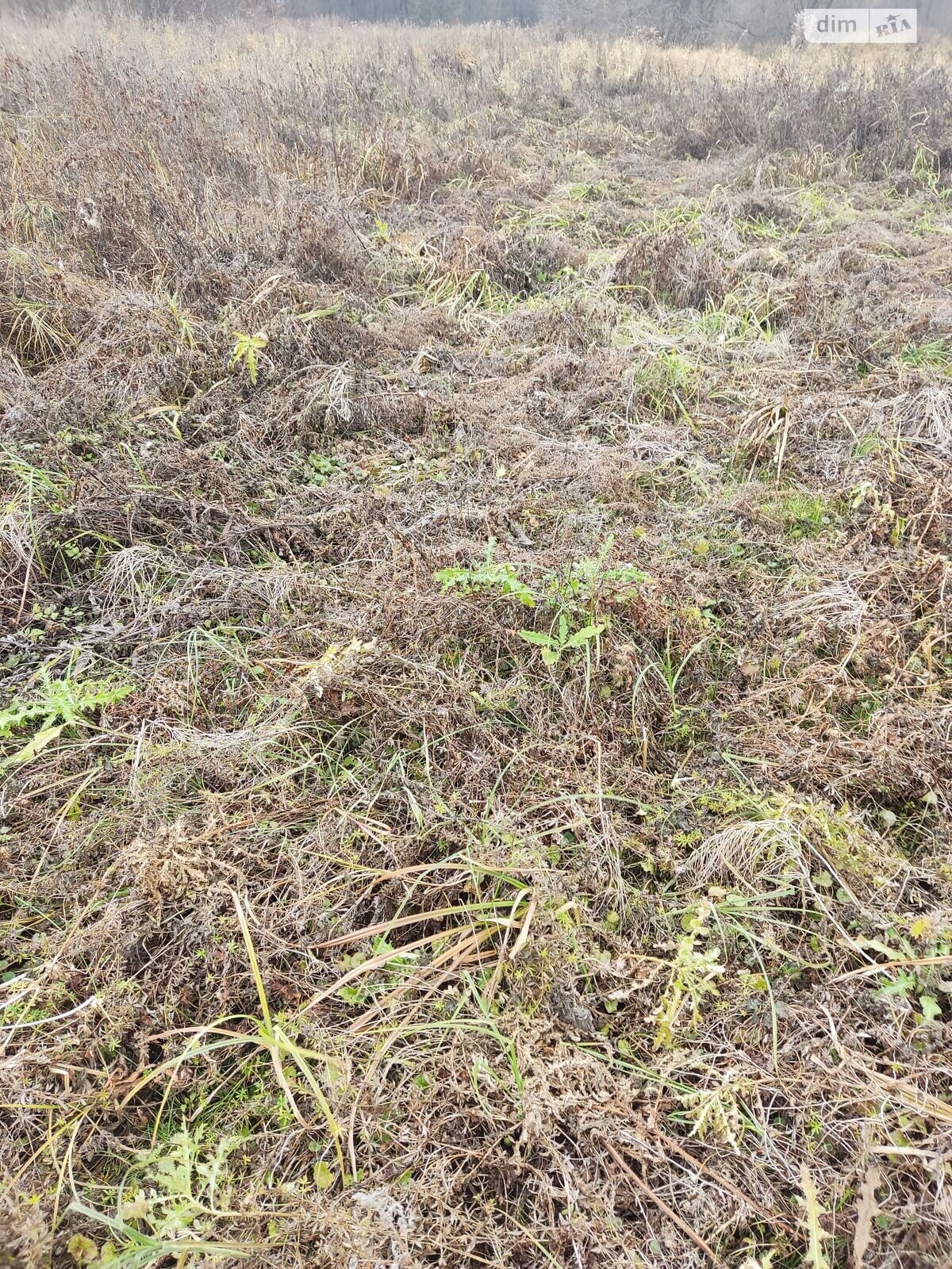 Оренда землі сільськогосподарського призначення в Ходорові, ціна: 19 699 грн за об’єкт фото 1