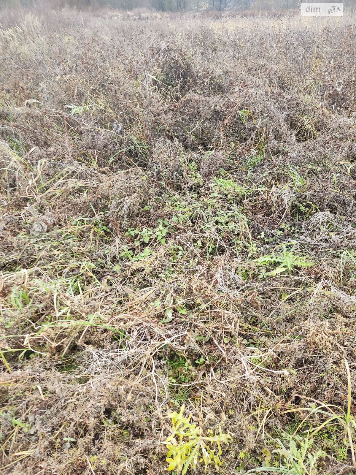 Аренда земли сельскохозяйственного назначения в Ходорове, цена: 1 128 грн за объект фото 1