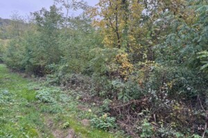 Аренда земли сельскохозяйственного назначения в Холмеце, цена: 1 459 грн за объект фото 1 Аренда земли сельскохозяйственного назначения в Холмеце, цена: 1 459 грн за объект фото 1