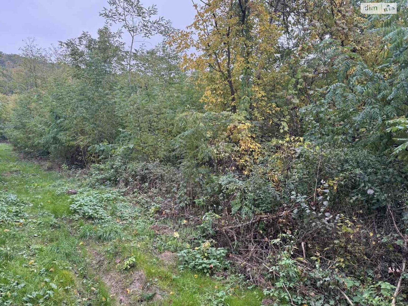 Аренда земли сельскохозяйственного назначения в Холмеце, цена: 1 459 грн за объект фото 1 Аренда земли сельскохозяйственного назначения в Холмеце, цена: 1 459 грн за объект фото 1