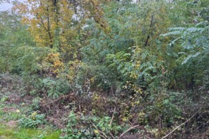 Оренда землі сільськогосподарського призначення в Холмеці, ціна: 172 грн за об’єкт фото 1