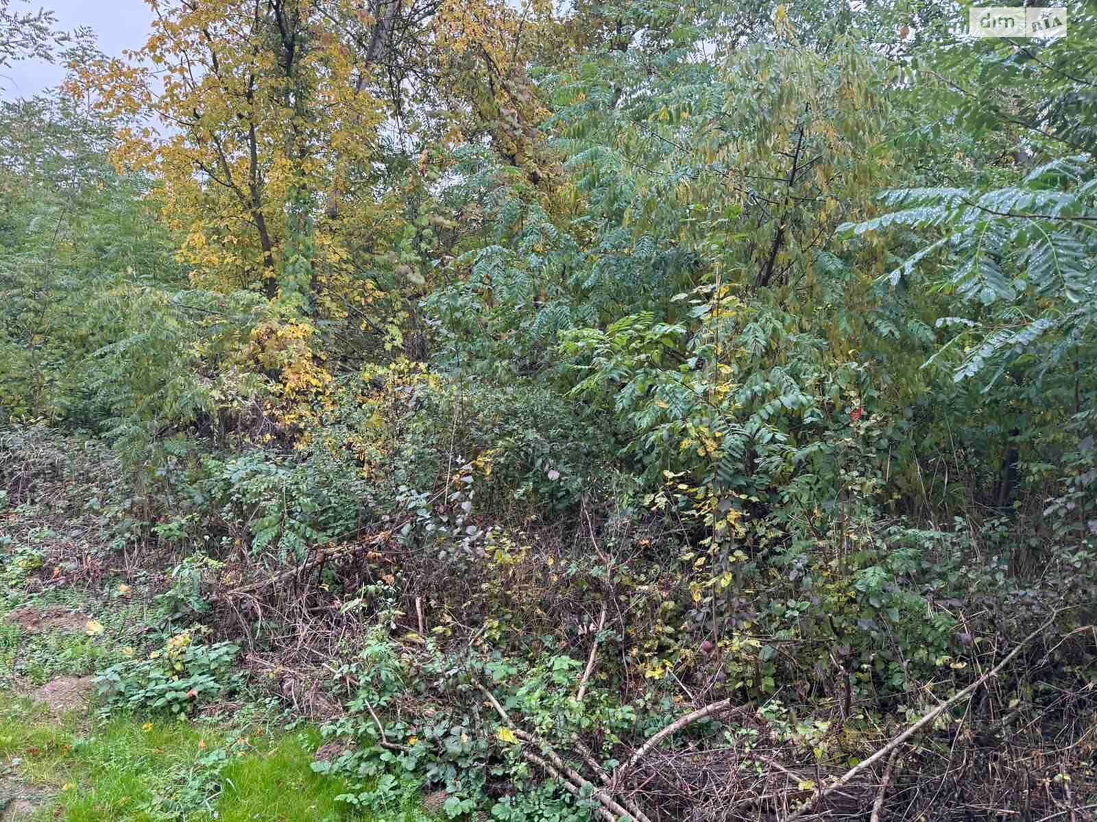 Оренда землі сільськогосподарського призначення в Холмеці, ціна: 172 грн за об’єкт фото 1