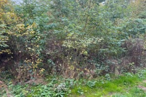 Аренда земли сельскохозяйственного назначения в Холмеце, цена: 260 грн за объект фото 1