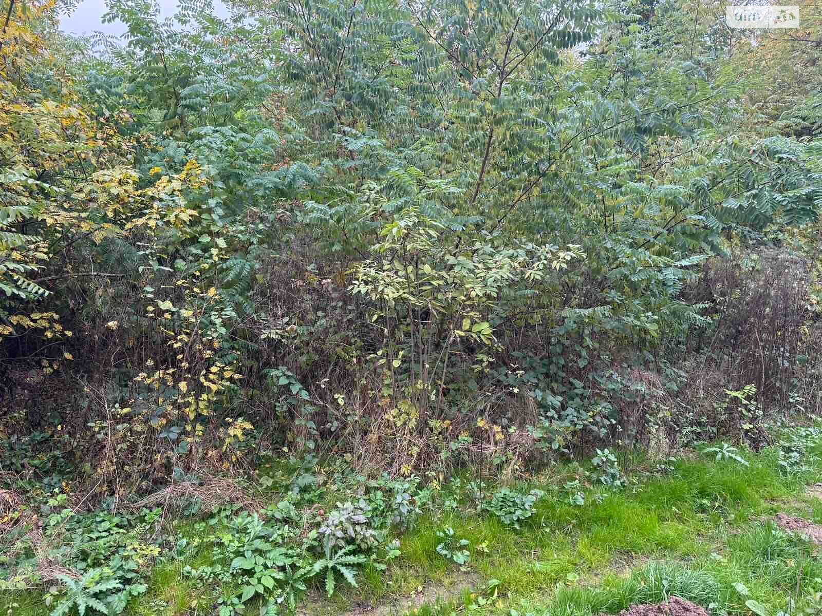 Аренда земли сельскохозяйственного назначения в Холмеце, цена: 260 грн за объект фото 1 Аренда земли сельскохозяйственного назначения в Холмеце, цена: 260 грн за объект фото 1