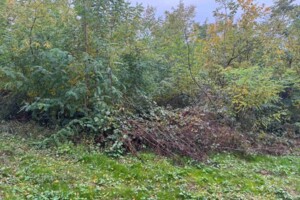 Аренда земли сельскохозяйственного назначения в Холмеце, цена: 1 461 грн за объект фото 1