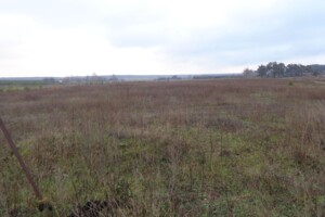 Аренда земли сельскохозяйственного назначения в Холоневичах, цена: 45 218 грн за объект фото 1 Аренда земли сельскохозяйственного назначения в Холоневичах, цена: 45 218 грн за объект фото 1