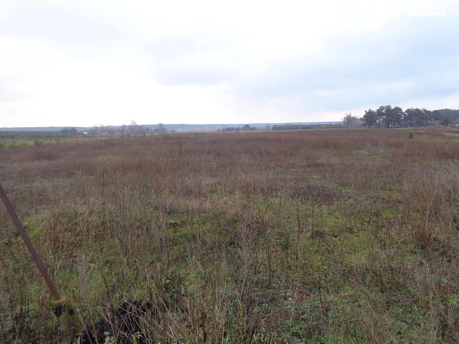 Аренда земли сельскохозяйственного назначения в Холоневичах, цена: 45 218 грн за объект фото 1 Аренда земли сельскохозяйственного назначения в Холоневичах, цена: 45 218 грн за объект фото 1