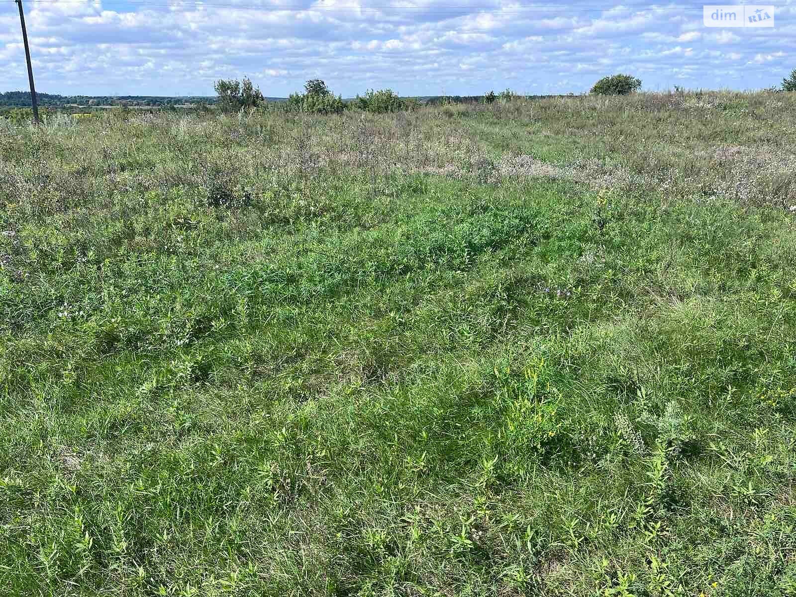 Аренда земли сельскохозяйственного назначения в Хотени Второй, цена: 23 776 грн за объект фото 1