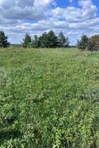 Аренда земли сельскохозяйственного назначения в Хотени Второй, цена: 23 776 грн за объект фото 2