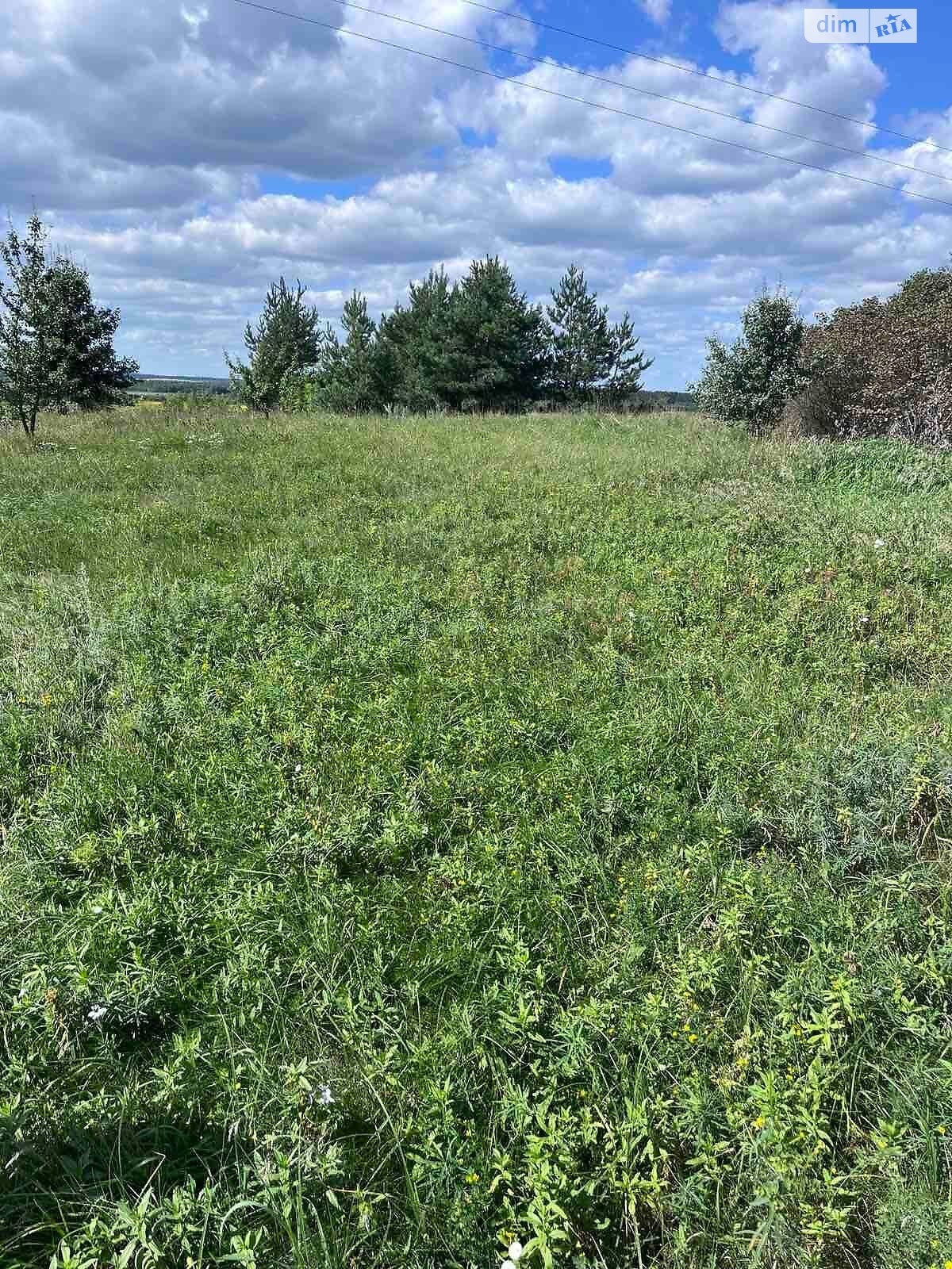 Аренда земли сельскохозяйственного назначения в Хотени Второй, цена: 23 776 грн за объект фото 1