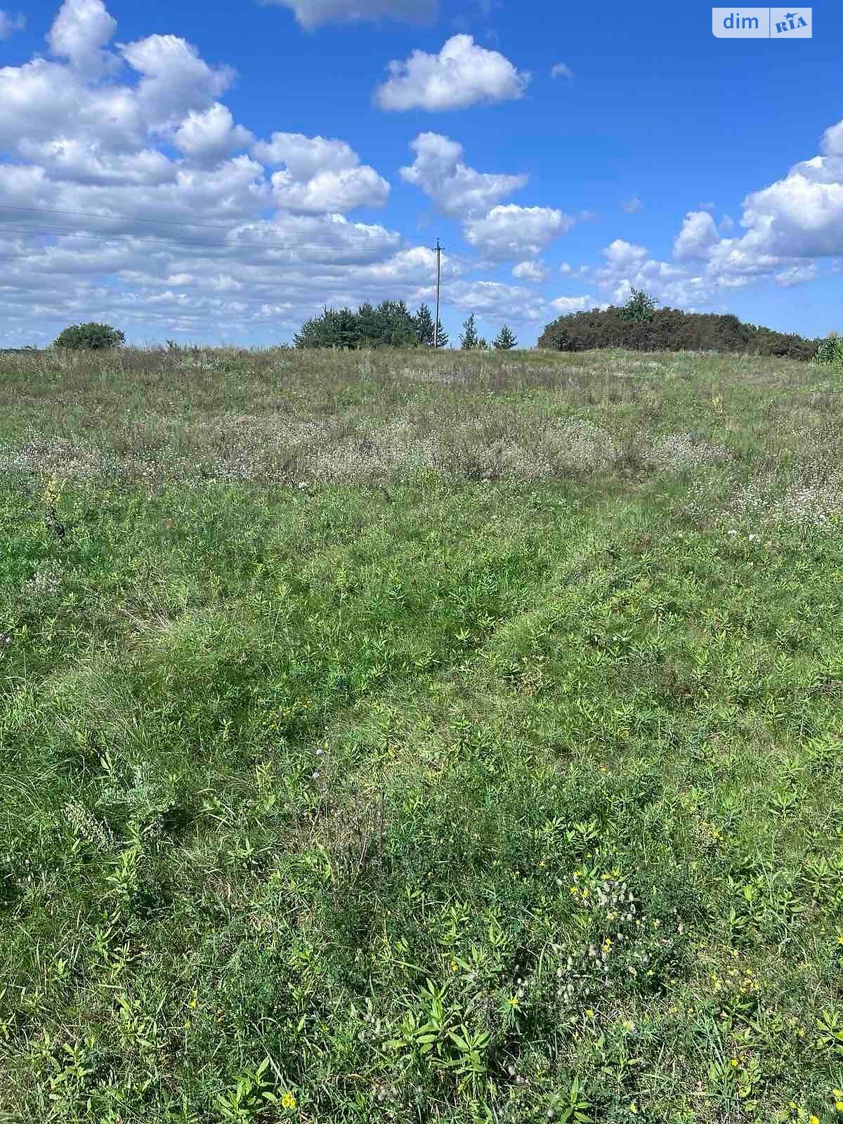 Аренда земли сельскохозяйственного назначения в Хотени Второй, цена: 23 776 грн за объект фото 1