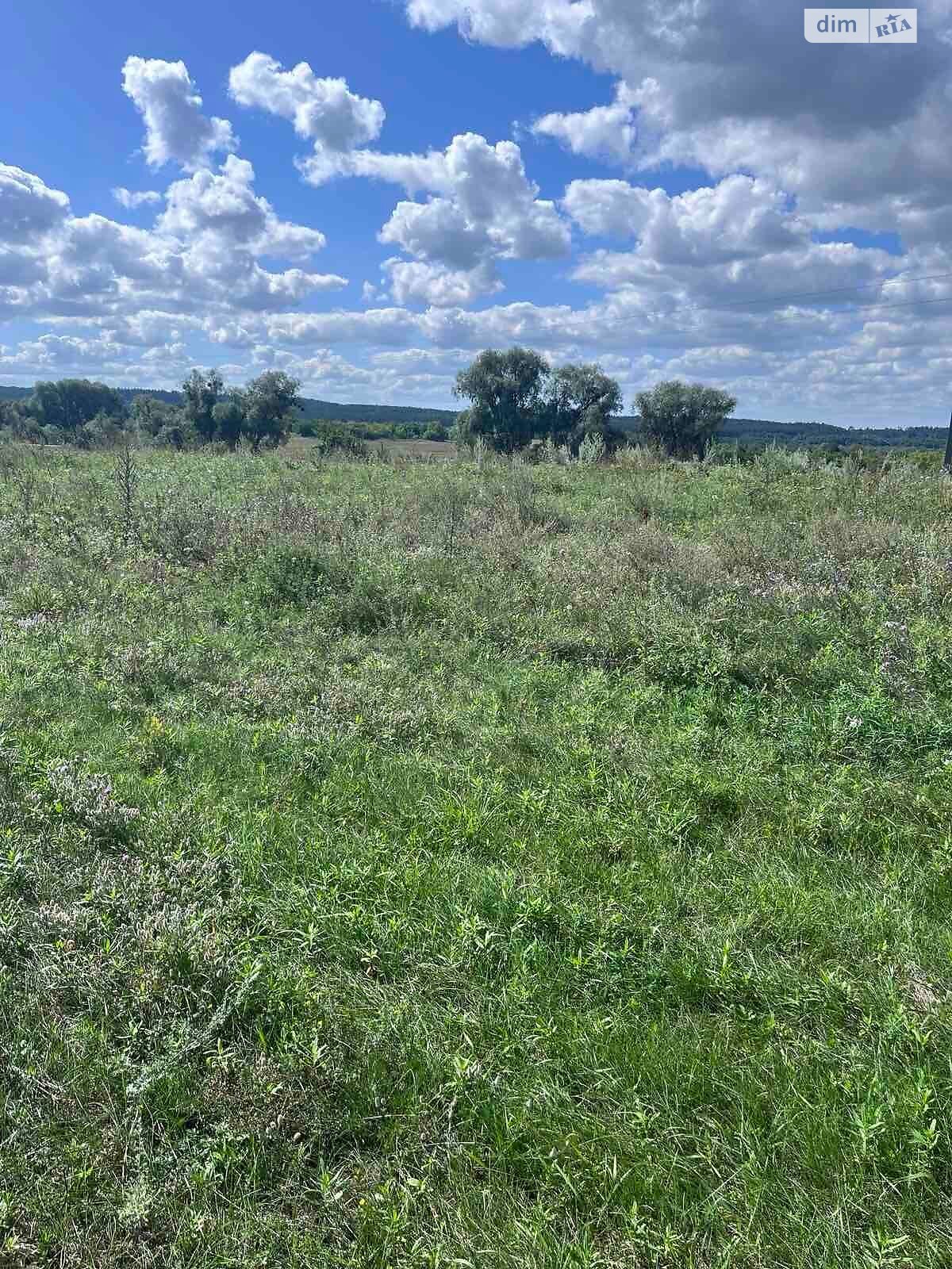 Аренда земли сельскохозяйственного назначения в Хотени Второй, цена: 23 776 грн за объект фото 1