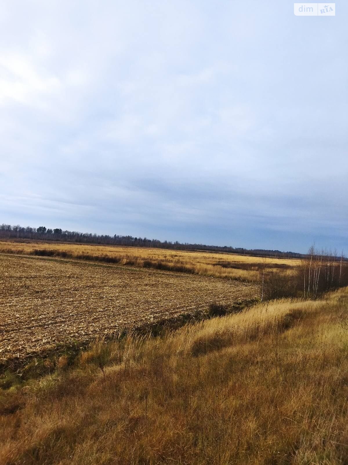 Оренда землі сільськогосподарського призначення в Іванівці, ціна: 8 296 грн за об’єкт фото 1