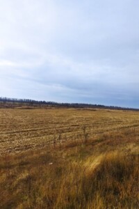 Аренда земли сельскохозяйственного назначения в Ивановке, цена: 7 131 грн за объект фото 1