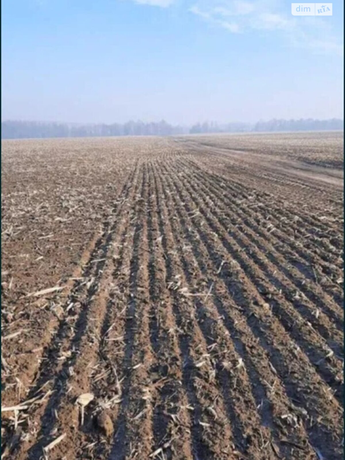 Оренда землі сільськогосподарського призначення в Житомирі, ціна: 145 775 000 грн за об’єкт фото 1 Оренда землі сільськогосподарського призначення в Житомирі, ціна: 145 775 000 грн за об’єкт фото 1
