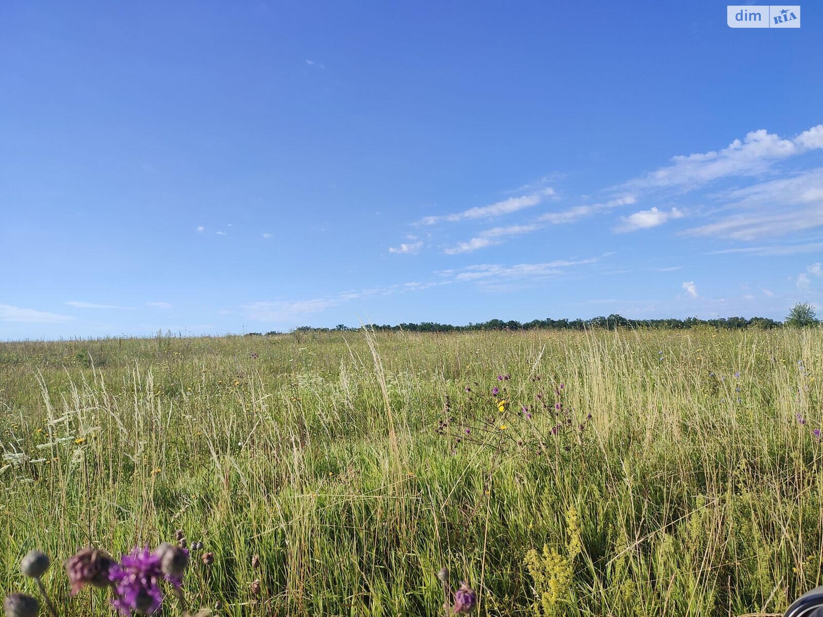 Оренда землі сільськогосподарського призначення в Жмеринці, ціна: 9 902 грн за об’єкт фото 1 Оренда землі сільськогосподарського призначення в Жмеринці, ціна: 9 902 грн за об’єкт фото 1