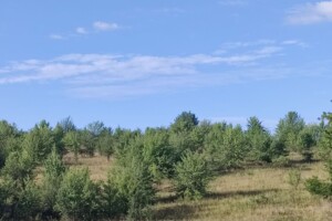 Оренда землі сільськогосподарського призначення в Жмеринці, ціна: 9 902 грн за об’єкт фото 1 Оренда землі сільськогосподарського призначення в Жмеринці, ціна: 9 902 грн за об’єкт фото 1