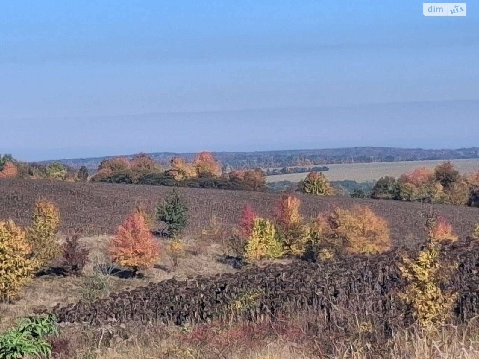 Аренда земли сельскохозяйственного назначения в Жмеринке, цена: 1 959 грн за объект фото 1