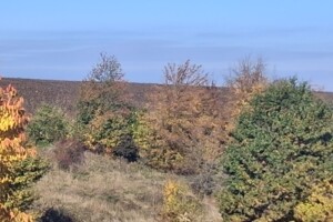 Аренда земли сельскохозяйственного назначения в Жмеринке, цена: 1 959 грн за объект фото 1 Аренда земли сельскохозяйственного назначения в Жмеринке, цена: 1 959 грн за объект фото 1