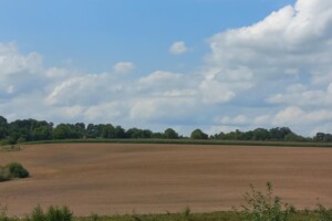 Оренда землі сільськогосподарського призначення в Жмеринці, ціна: 4 103 грн за об’єкт фото 1 Оренда землі сільськогосподарського призначення в Жмеринці, ціна: 4 103 грн за об’єкт фото 1