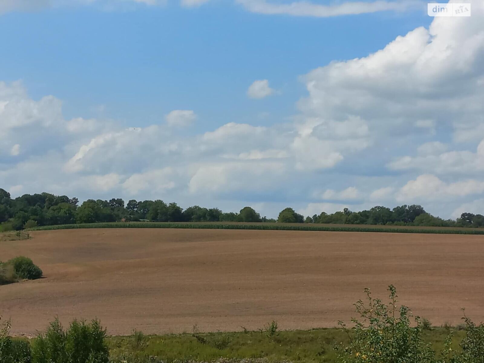 Оренда землі сільськогосподарського призначення в Жмеринці, ціна: 4 103 грн за об’єкт фото 1 Оренда землі сільськогосподарського призначення в Жмеринці, ціна: 4 103 грн за об’єкт фото 1