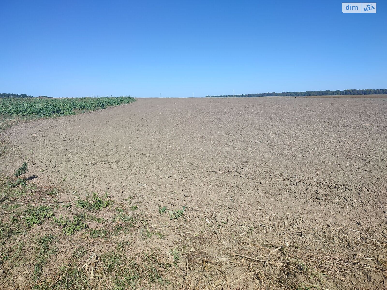 Аренда земли сельскохозяйственного назначения в Жмеринке, цена: 10 743 грн за объект фото 1 Аренда земли сельскохозяйственного назначения в Жмеринке, цена: 10 743 грн за объект фото 1