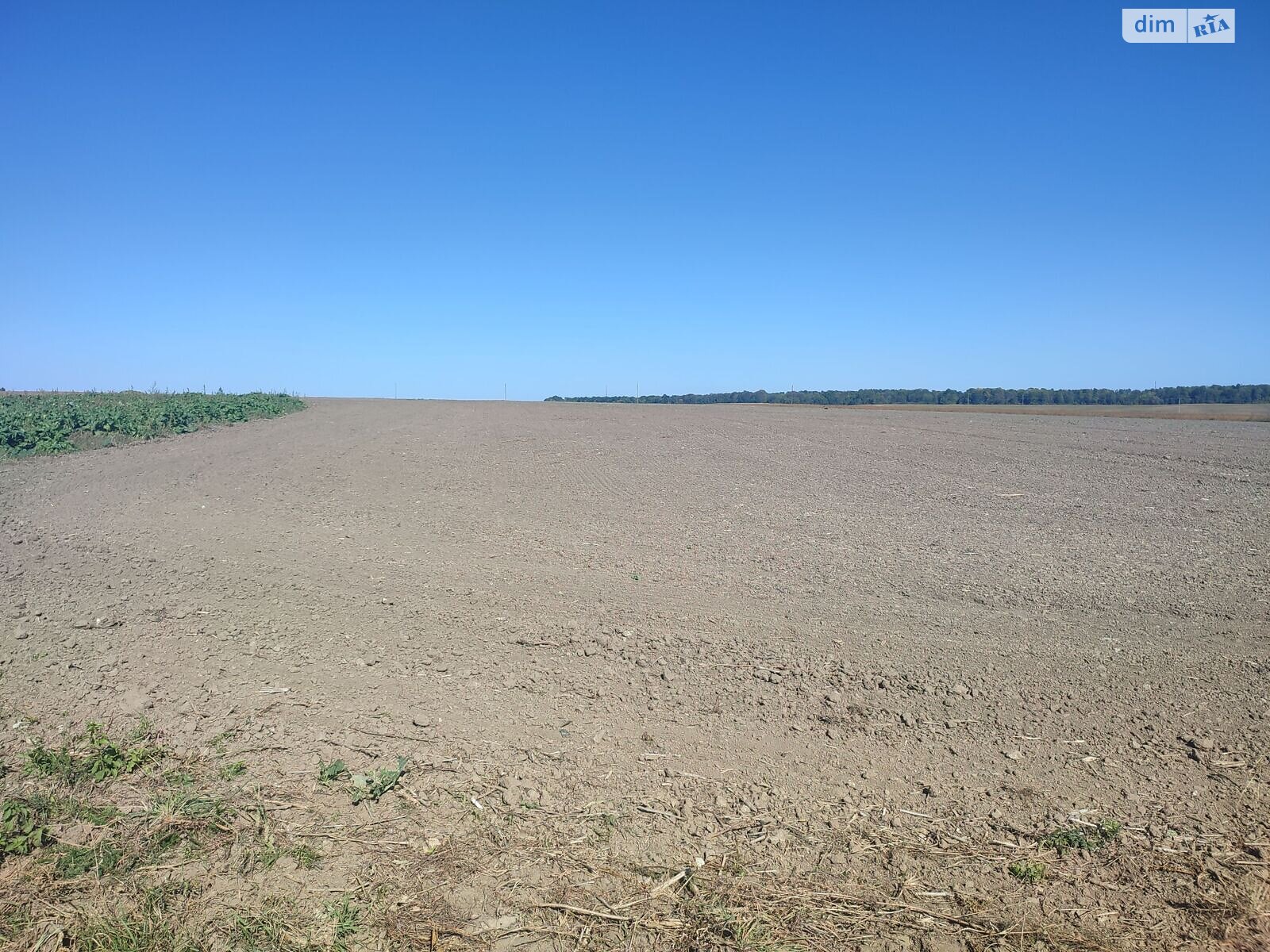 Аренда земли сельскохозяйственного назначения в Жмеринке, цена: 10 743 грн за объект фото 1 Аренда земли сельскохозяйственного назначения в Жмеринке, цена: 10 743 грн за объект фото 1